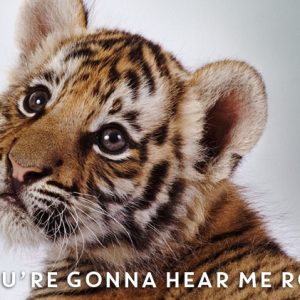 Navegando sem rumo pela internet