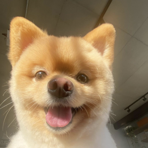 10 músicas para: ficar feliz!