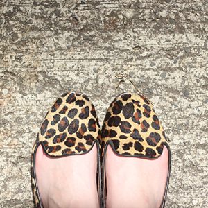 Look da Ka: Regata de gatinho