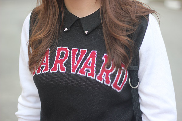 lookharvard4