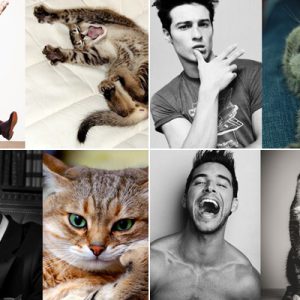 Os 10 melhores memes de 2013