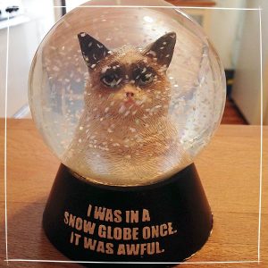 10 fotos da viagem da Maqui para Nova York