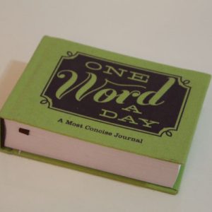 Papelaria: Minha agenda e os caderninhos que usarei em 2014