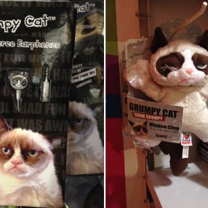 Coluna da Maqui: gatos, gatos, gatos… eles viraram tendência e estão por todos os lados!