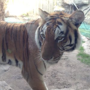 Coluna da Maqui: 10 fotos muuuito legais da minha viagem pra Orlando!