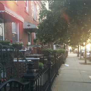 #karolNY: o primeiro vídeo em NY é para mostrar a minha vizinhança!