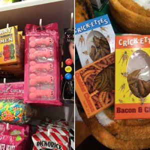 Conheça a loja de doces mais incrível dos EUA: It’Sugar!