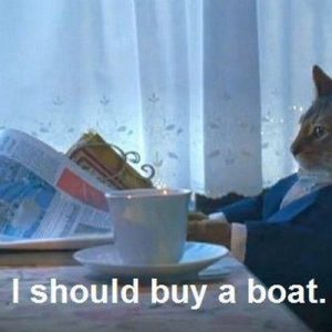 Coluna da Maqui: os melhores memes com bichinhos