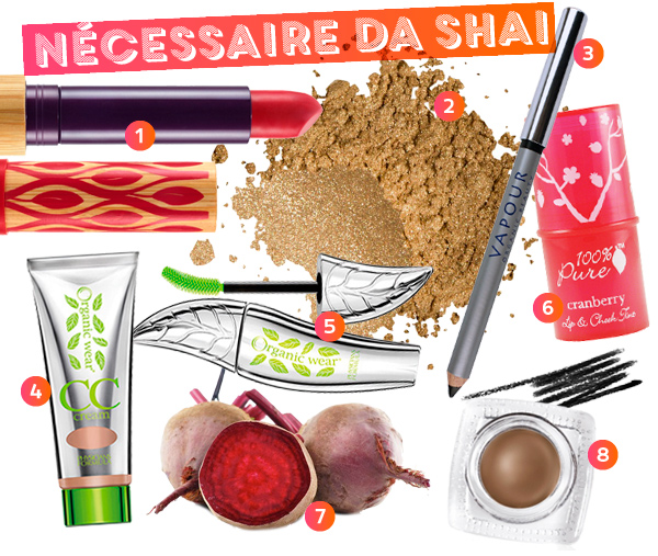 shai-necessaire