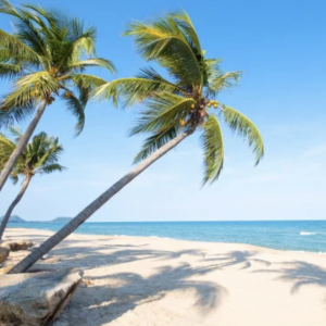 Filmes que: dão vontade de aproveitar o verão