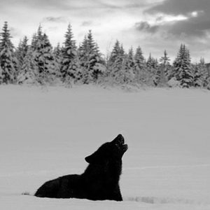 Sobre sentir medo e aprender a perder e viver