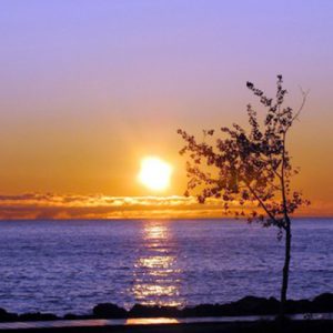 Sobre as mudanças da vida…