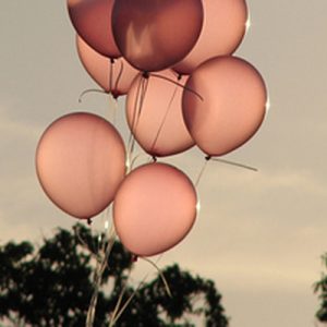 A mesma história, a sua versão