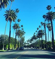 10 músicas para: saber o que está bombando nos EUA