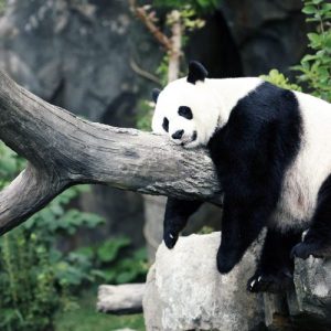 É só o meu sono que o Instagram roubou?