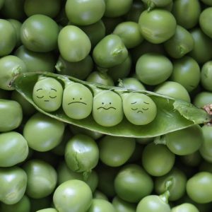 Ninguém gosta MESMO de ervilha